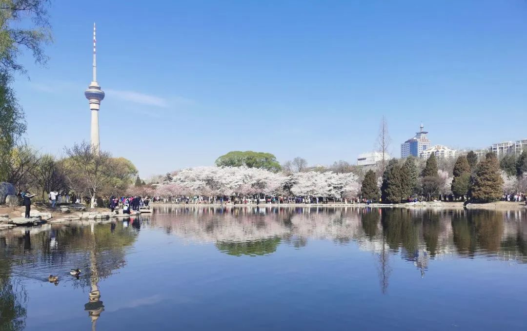 玉渊潭公园