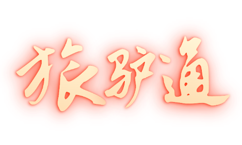 旅驴通年票网